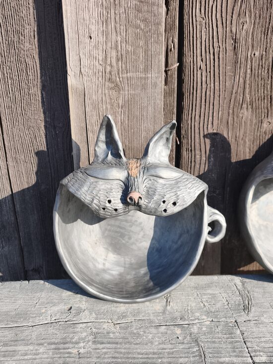 Kaķis M ar glazētu degunu un pieri